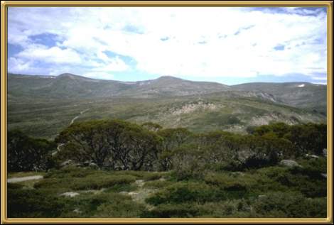 From the peak of the Snowy Mountains