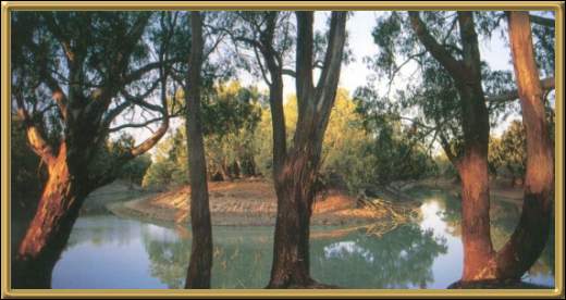 Kinchega National Park