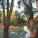 nsw05