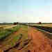 nsw07