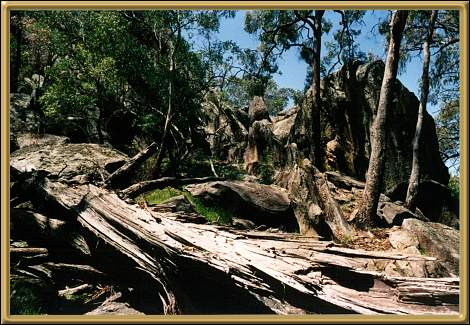 Timor Rock, Warrambungles