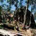 nsw09