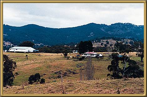 Tamworth