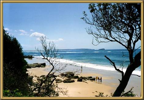 Beach at Newcastle