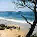 nsw14