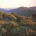 nsw17