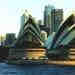 nsw19