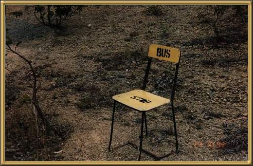 Bus Stop