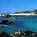 nsw24
