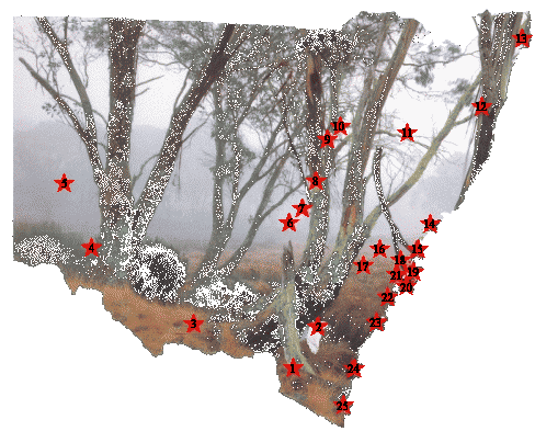 Where you've visited in New South Wales