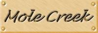 tas10lab.jpg (3320 bytes)