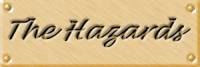 tas21lab.jpg (3270 bytes)