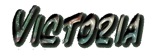 vic.gif (13381 bytes)