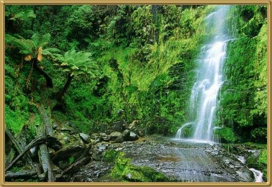 Erskine Falls, near Lorne