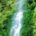 vic04