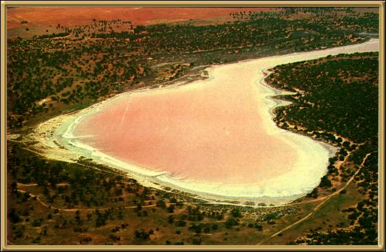 Pink Lakes