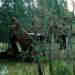 vic14