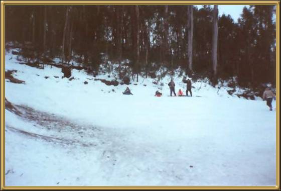 Mt Buller