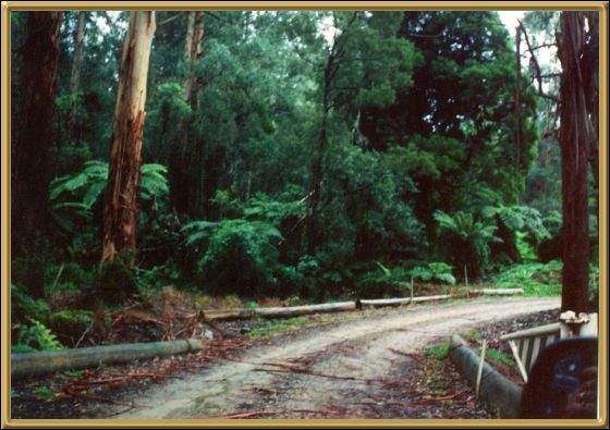 Near Buchan 
