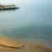 vic21