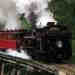 vic22