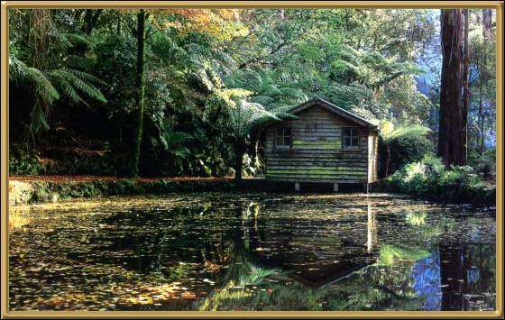 Sherbrooke Forest
