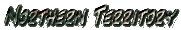 nt.gif (24939 bytes)