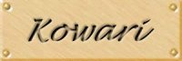 kowarlab.jpg (4099 bytes)