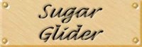 sugarlab.jpg (4588 bytes)