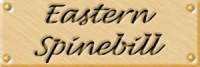 eastlab.jpg (3399 bytes)