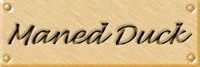 manedlab.jpg (3007 bytes)