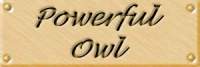 owllab.jpg (3170 bytes)