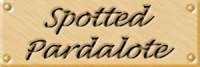 spotlab.jpg (3682 bytes)