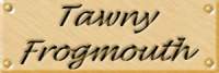 tawnylab.jpg (3385 bytes)