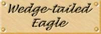 wedgelab.jpg (3431 bytes)