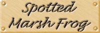 fr22lab.jpg (4918 bytes)