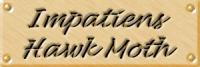 in10lab.jpg (4607 bytes)