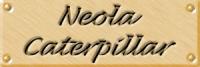 in14lab.jpg (3937 bytes)