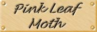 in17lab.jpg (3961 bytes)