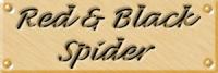in18lab.jpg (4215 bytes)