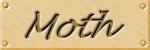 moth