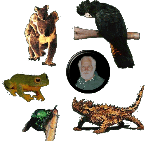 Image Map